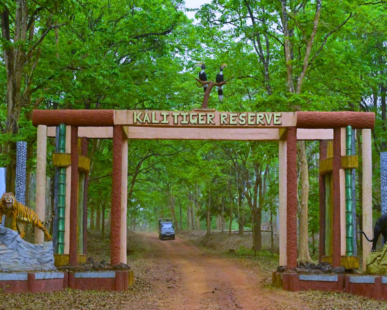 kali tiger reserve