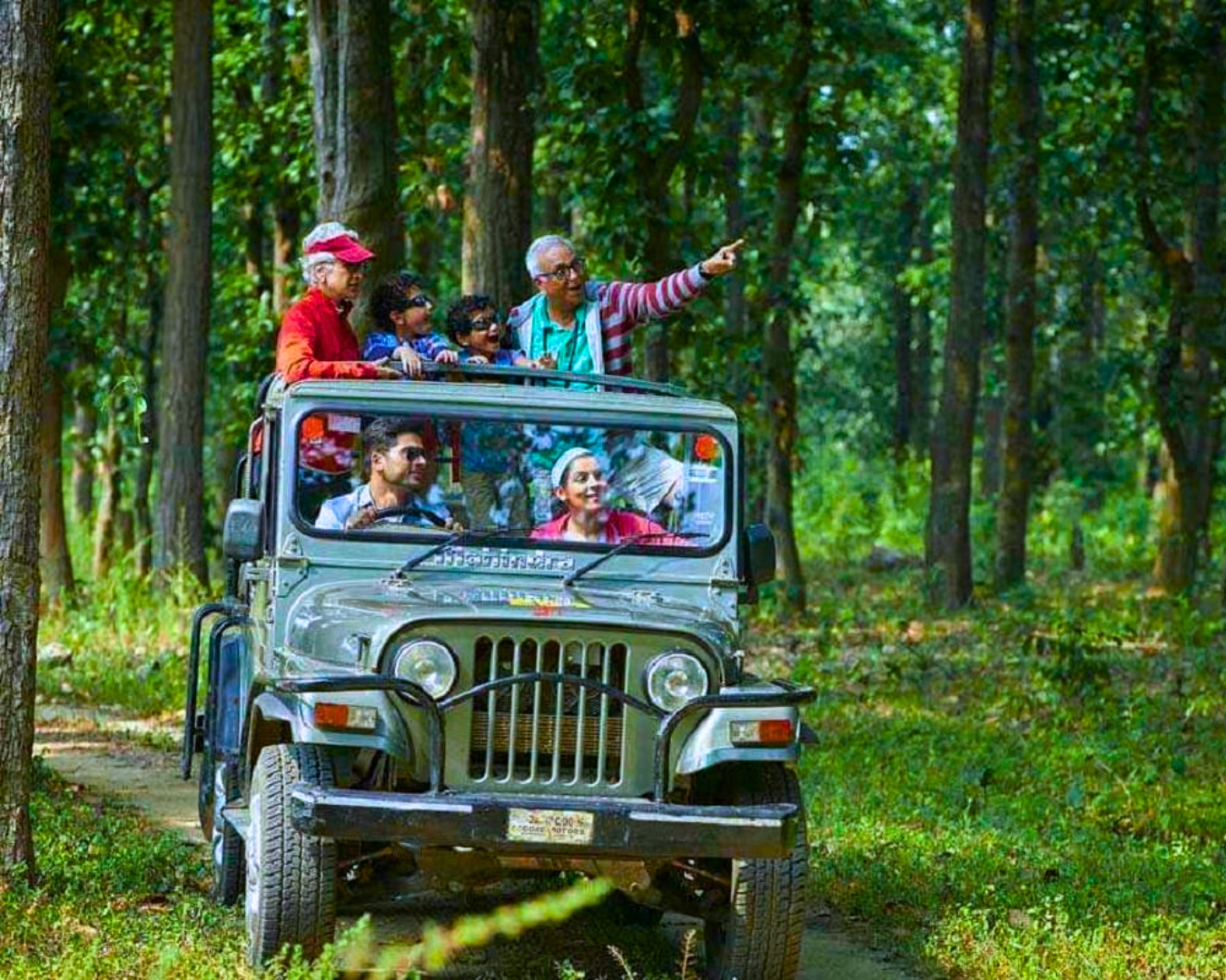 Jungle Safari