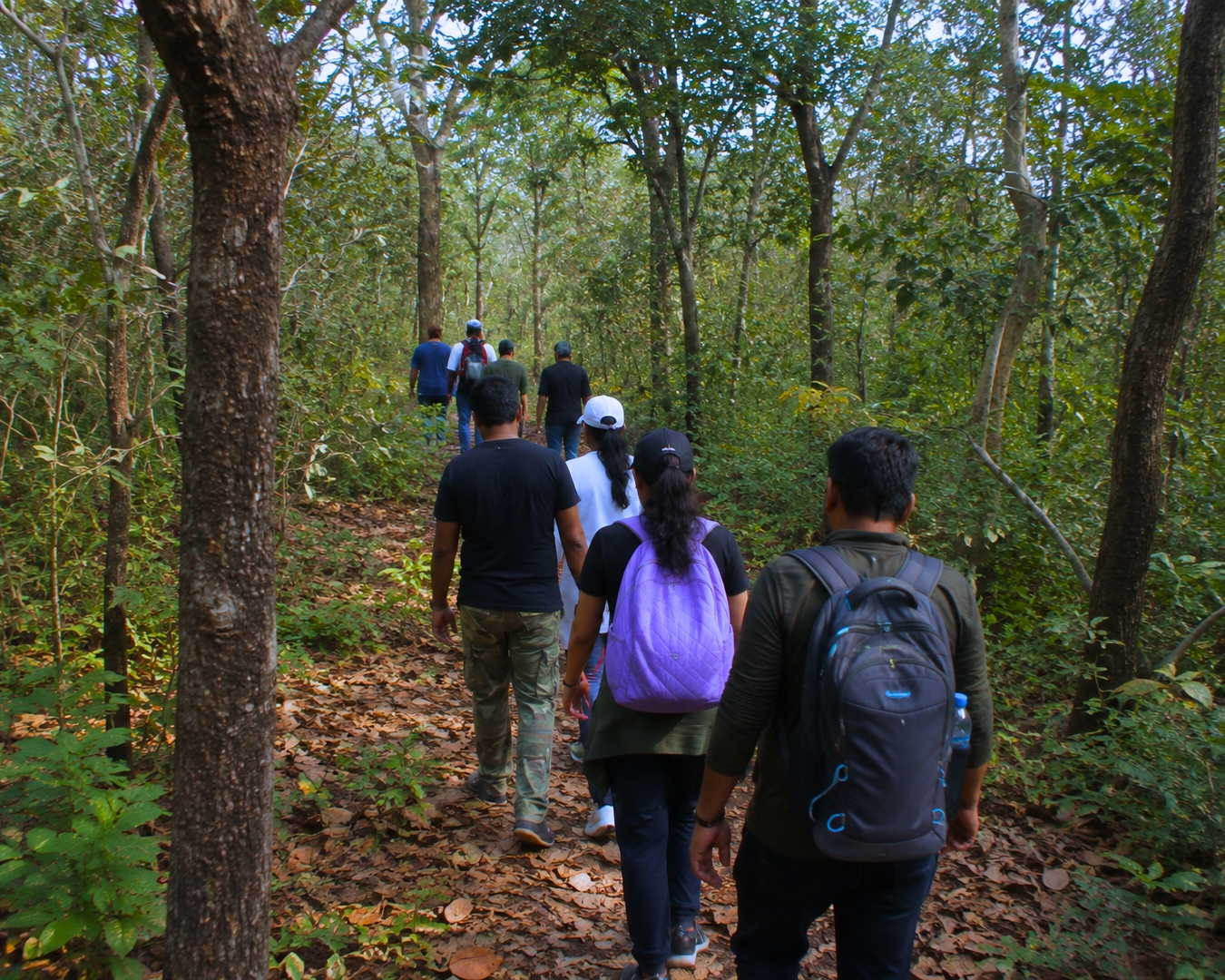 Jungle Trek
